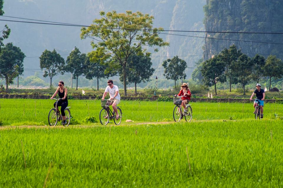 Tam Coc rice season 4