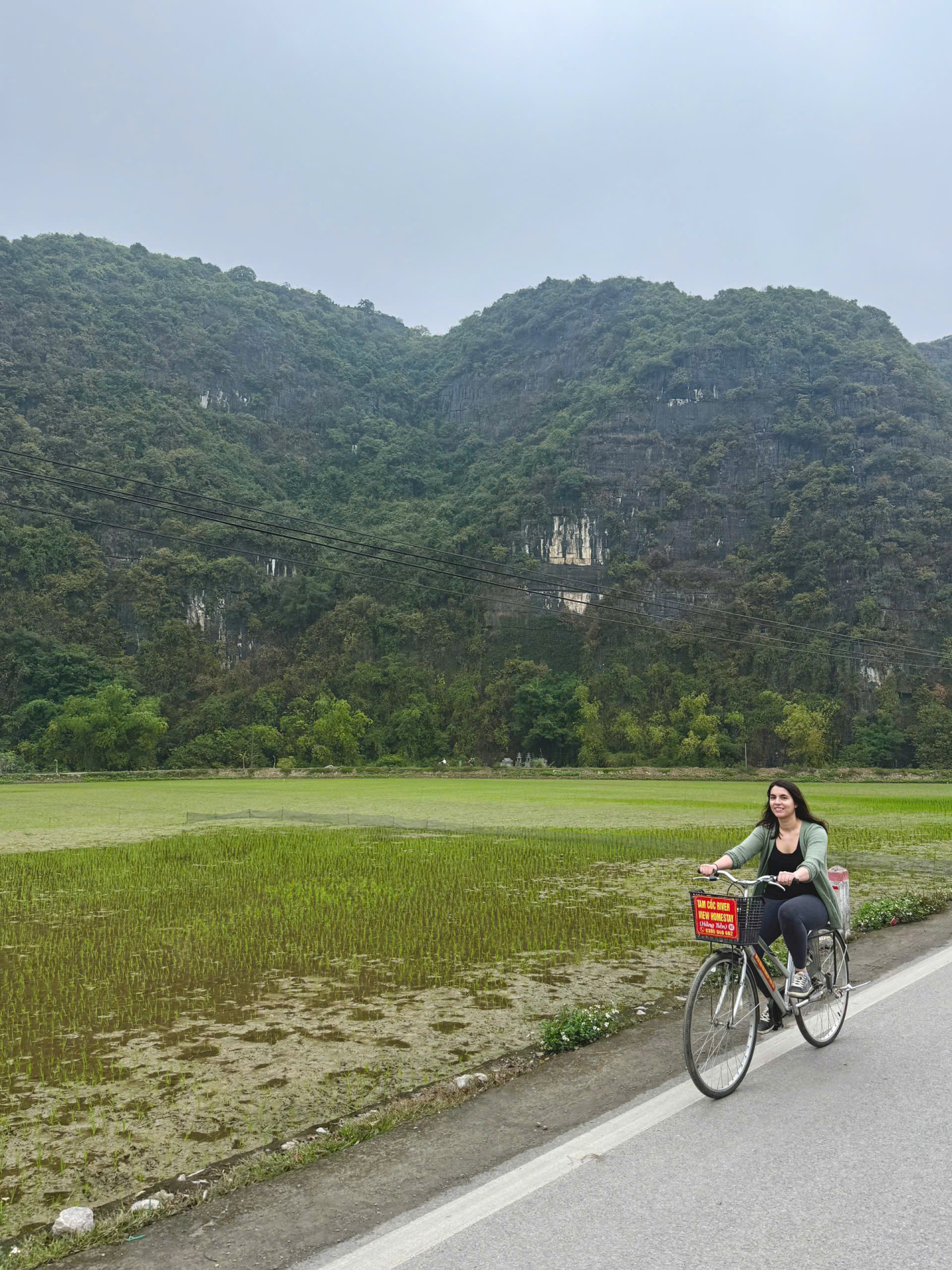 Rice fields before the rice season in Tam Coc