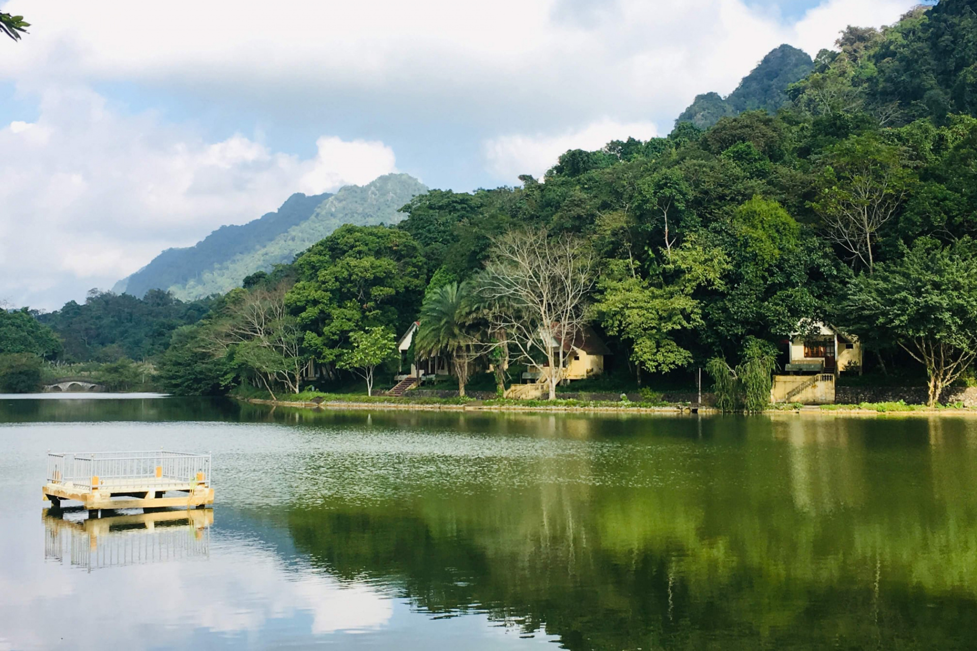 Cuc Phuong National Park: Highlights, Detailed Guide & Itineraries